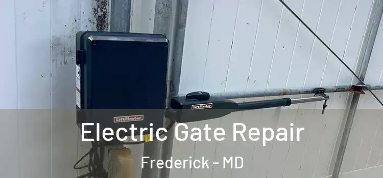Electric Gate Repair Frederick - MD