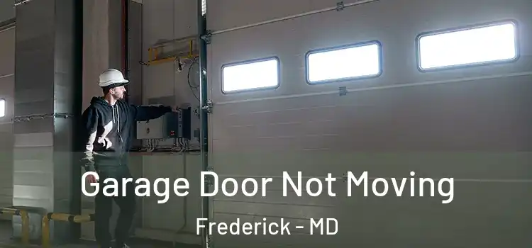  Garage Door Not Moving Frederick - MD
