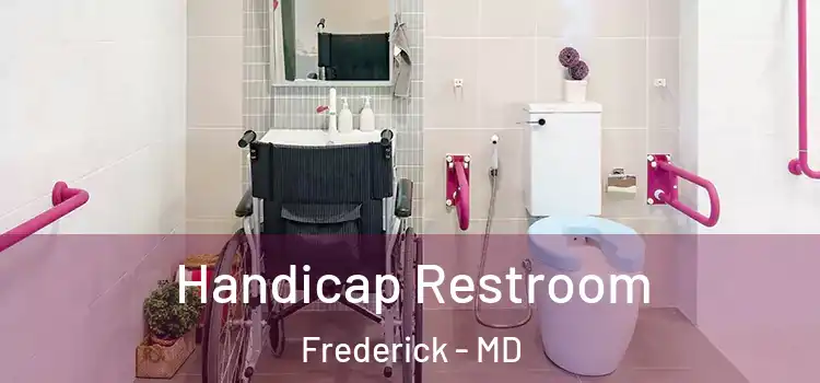 Handicap Restroom Frederick - MD