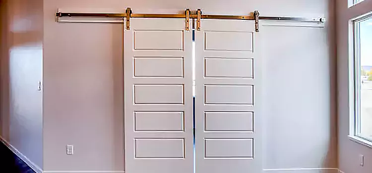 Glass Barn Door with Installation Hardware Kit Frederick